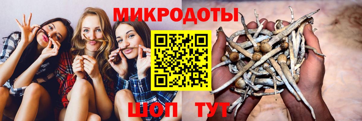 Псилоцибиновые грибы Psilocybe Конаково