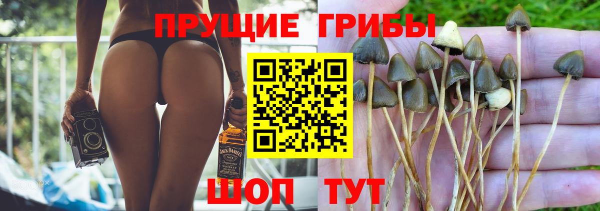 Купить наркоту  Конаково  Вход с VPN  Мефедрон кристаллы  ГАШИШ  Каннабис  Alpha-PVP СОЛЬ   АМФЕТАМИН кристаллы 
