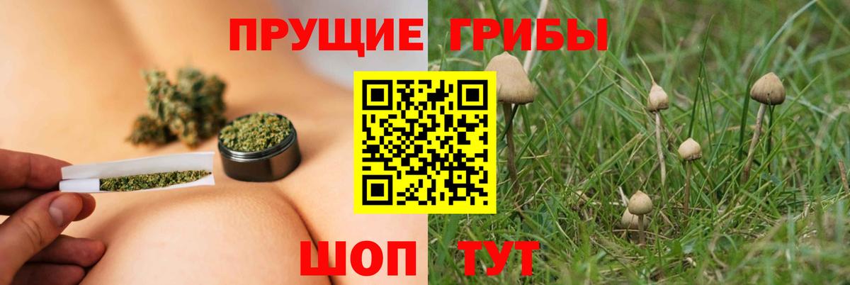 Конаково  Псилоцибиновые грибы Magic Shrooms  Вход с VPN  Псилоцибиновые грибы ЛСД 